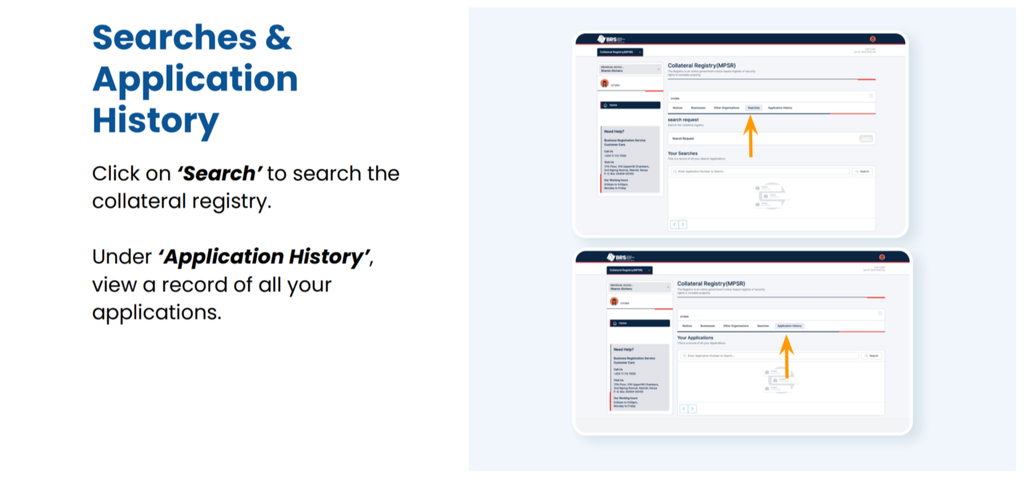 Step 11 of How to Use the MPSR Collateral Registry in Kenya: A Step-by-Step Guide: Download or Print the Application Record